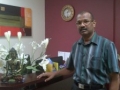Mr S Kisten